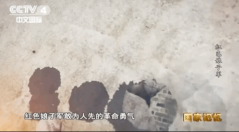 被捕後,她們受盡酷刑,無一人叛變投敵 被捕後,她們受盡酷刑,無一人叛變投敵