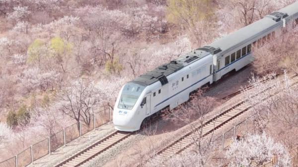 中國最美的6條鐵路，一路上的美景，讓人捨不得眨眼，此生必去