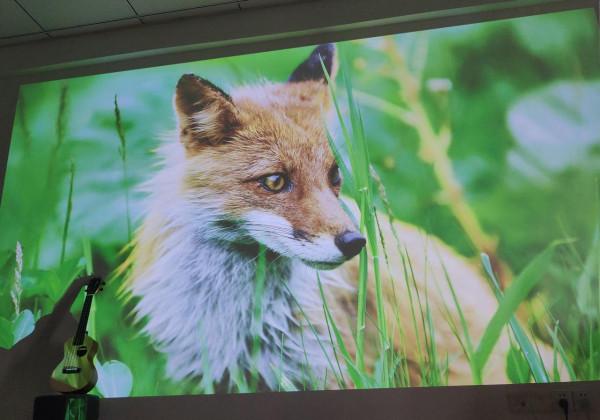 鐳射電視幾萬元，與液晶電視對比，兩者有什麼不同？哪種更好用？