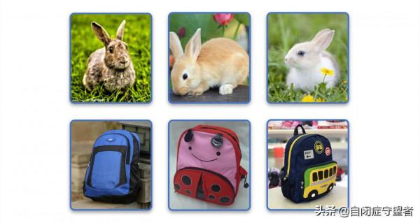 自閉症兒童認知學習①:被小看的配對遊戲,不止是“找相同” 自閉症兒童認知學習①:被小看的配對遊戲,不止是“找相同”