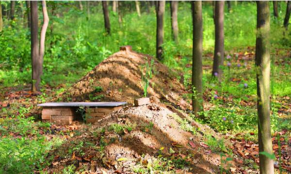 人在火化時會經歷什麼?骨灰之中有人體基因嗎? 人在火化時會經歷什麼?骨灰之中有人體基因嗎?