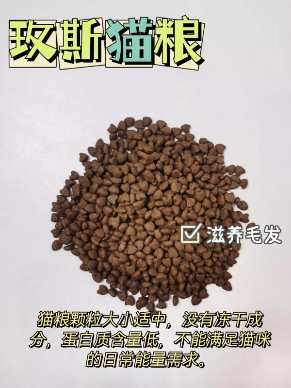 別再踩雷了，貓咪承受不了你折騰還不會選貓糧？