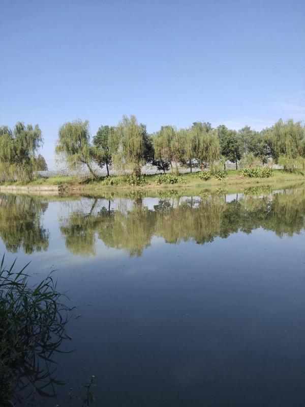 “秋天到，魚好釣”。但小魚鬧窩大魚難釣，釣大魚的方法來了