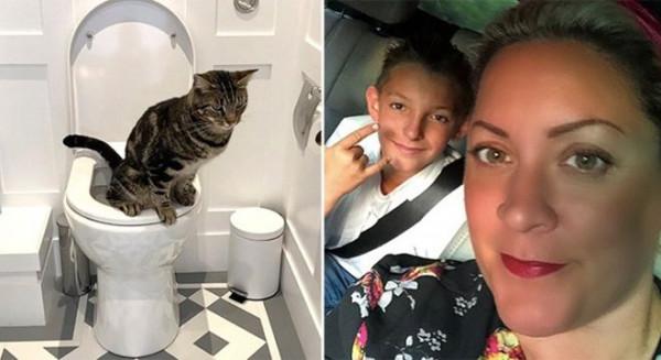 媽媽責備兒子沒有沖廁所，最終發現竟是寵物貓惹的禍