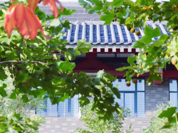 高顏值！陝西這所高校位於特大城市，佔地4300畝！網友：風景絕美