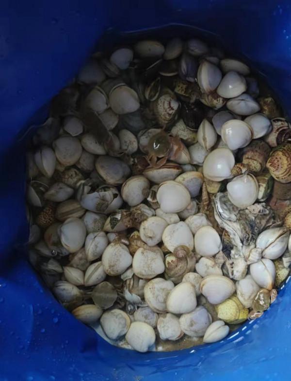 在大自然裡撒歡是浪費時間?新“放養”方式:孩子不會玩才可惜 在大自然裡撒歡是浪費時間?新“放養”方式:孩子不會玩才可惜
