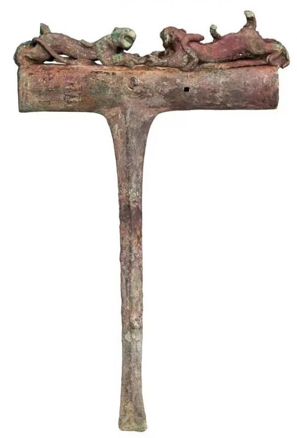 虎年說虎 &vert; 虎虎生福，雲南這些博物館的&OpenCurlyDoubleQuote;虎&rdquo;你愛了嗎？