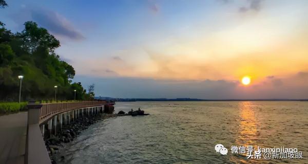 教你如何10元玩轉新加坡