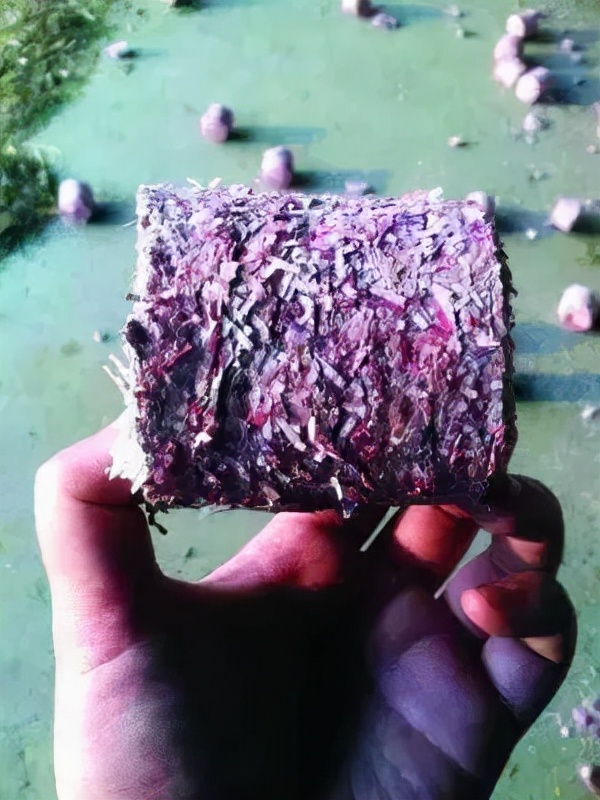 奢侈的美國“百萬農場”,用美鈔做肥料,美元霸權的一個極端表現 奢侈的美國“百萬農場”,用美鈔做肥料,美元霸權的一個極端表現