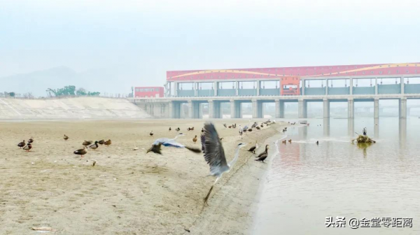 金堂來了一群特殊的客人