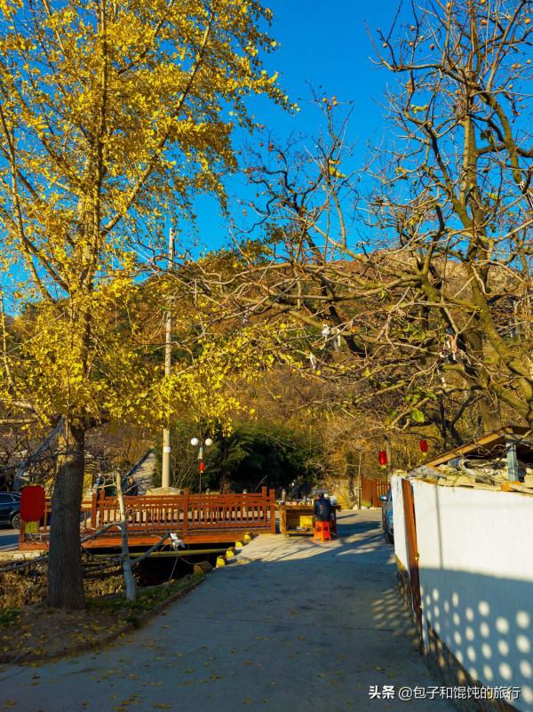 北京人在威海，冬天自駕裡口山幹嘛去，王家疃村新體驗