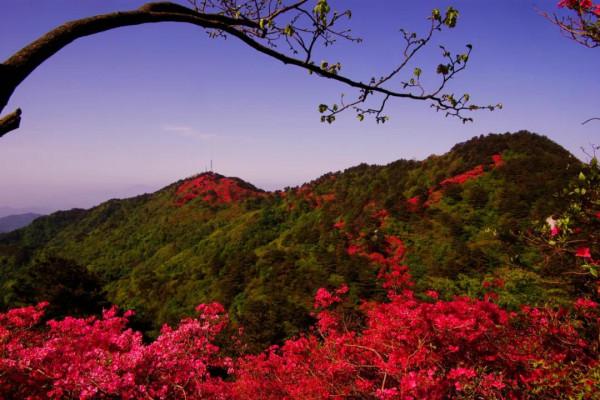 一篇文章，帶您領略四時美景 | 龜峰山最詳細旅遊景點，不容錯過