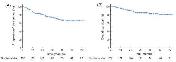 大咖解讀丨蔡清清教授：P-GEMOX序貫放療治療早期結外鼻型NK/T細胞淋巴瘤