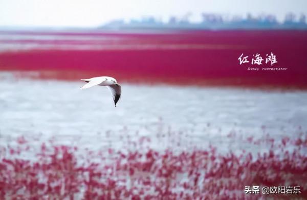 秋去秋來！中國最美的12個地方，你去過幾個？