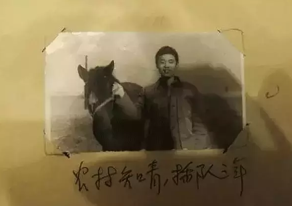 空姐、養豬工人、護士,這10位明星的第一份工作都和演戲沒關係 空姐、養豬工人、護士,這10位明星的第一份工作都和演戲沒關係