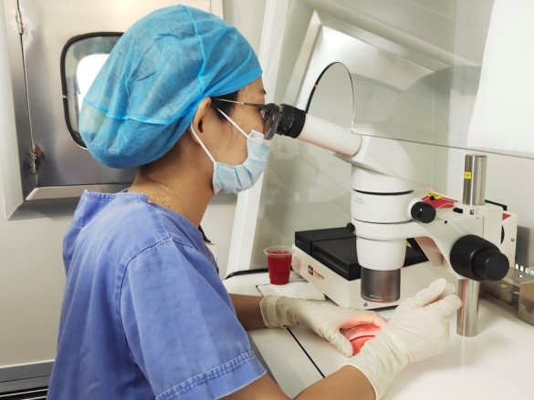 今天是“世界胚胎學家日”，圖文揭秘試管嬰兒的全過程