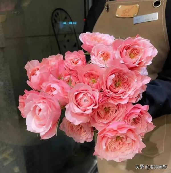 2月起全球超60%的國家開放或計劃放寬出境遊