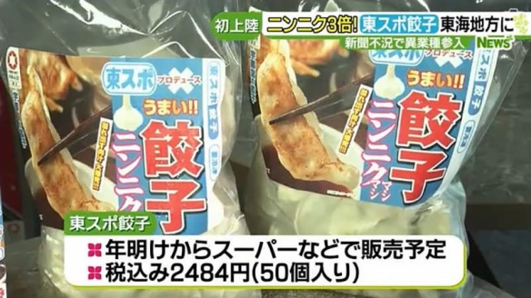 日本報社轉行賣煎餃走紅：三倍大蒜餡料好評滿滿
