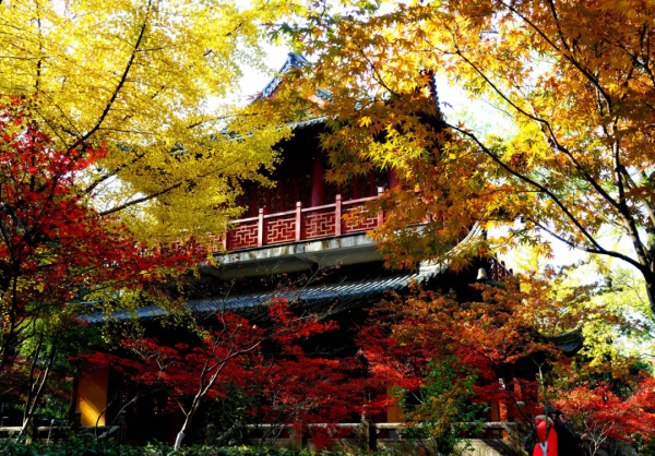 太美了!10個愈秋愈美的小眾旅行地,錯過只能再等一年 太美了!10個愈秋愈美的小眾旅行地,錯過只能再等一年