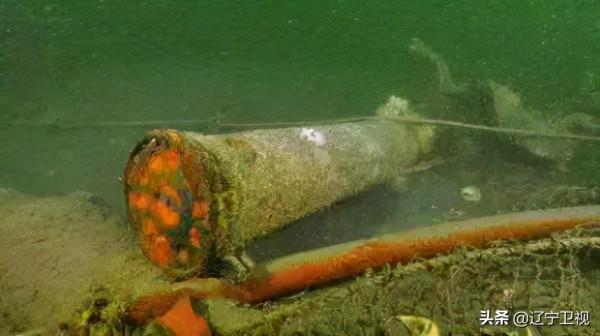 登上教科書的致遠艦，百年前沉沒內幕“曝光”