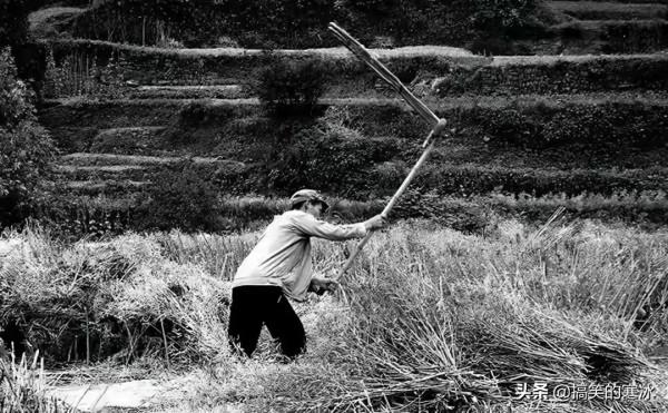 漸漸消失的物件，第十一和十六又是幹嘛的？