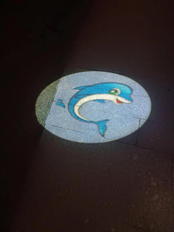 美麗的後湖夜晚