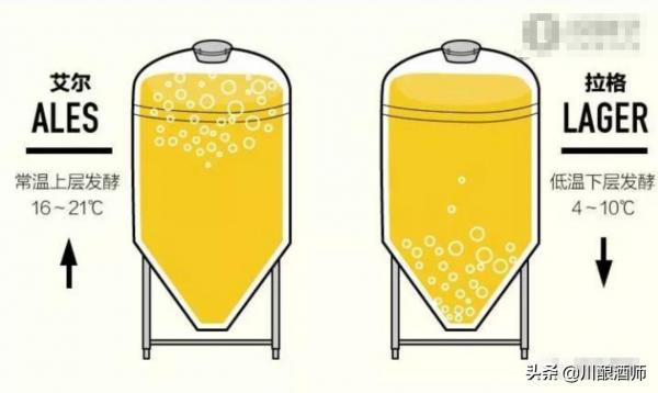 純生、原漿、扎啤、精釀，搞懂啤酒分類，喝啤酒不交智商稅