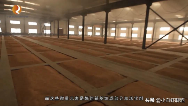 河北5款不出名好酒，每一款口感都十分不錯，可惜知道的人不多