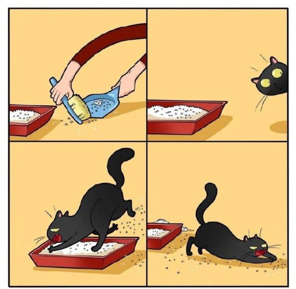 養貓人才會懂的痛:可能這就是愛吧 養貓人才會懂的痛:可能這就是愛吧