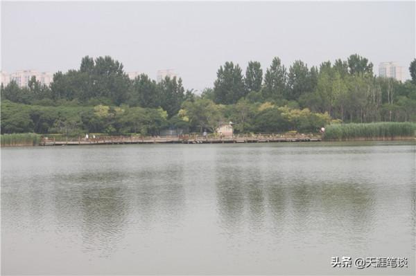 塘沽免費公園值得遊，順其自然地體驗，領略不一樣風景