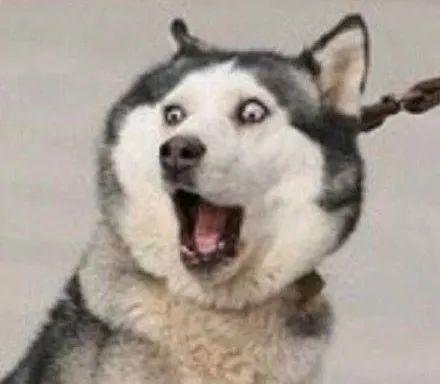 盤點明星搞笑事件