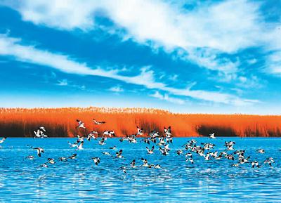 亮麗北疆 壯美詩篇(紅色地標巡禮·內蒙古篇) 亮麗北疆 壯美詩篇(紅色地標巡禮·內蒙古篇)