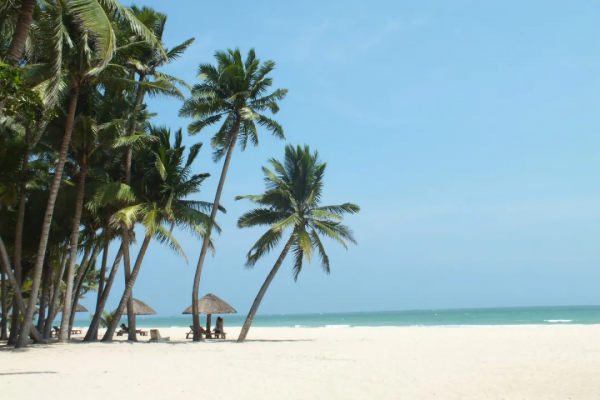 和廣東打了50架,也沒在“誰更會吃雞”這個問題上分出高下 和廣東打了50架,也沒在“誰更會吃雞”這個問題上分出高下