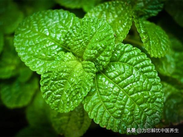 反覆感冒是什麼情況