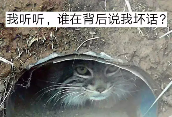 中國“最窮”的動物園 在中國最高的地方