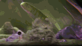 GRIME：在這個遊戲裡你甚至可以用頭來彈反敵人