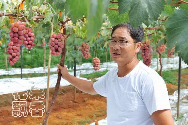 為什麼大家喜歡跳新品種的坑? 為什麼大家喜歡跳新品種的坑?