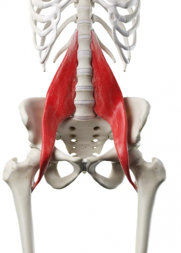 獎門人：睡硬板床不能治腰椎間盤突出！3個小誤會一次說清