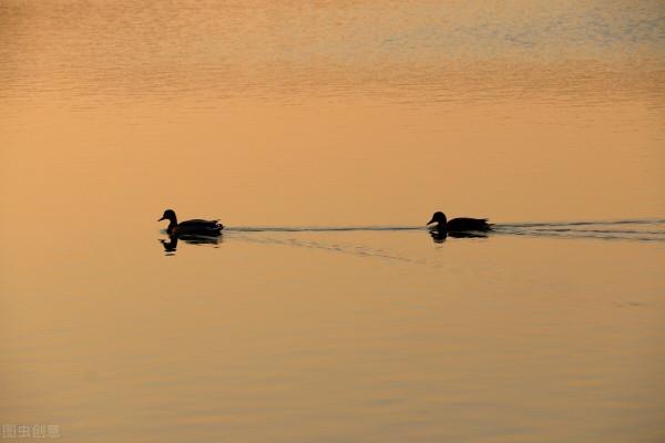早晨口苦,先調肝!這篇文章專講口苦,送你四張方子,建議收藏 早晨口苦,先調肝!這篇文章專講口苦,送你四張方子,建議收藏