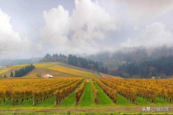 中美家庭收入對比