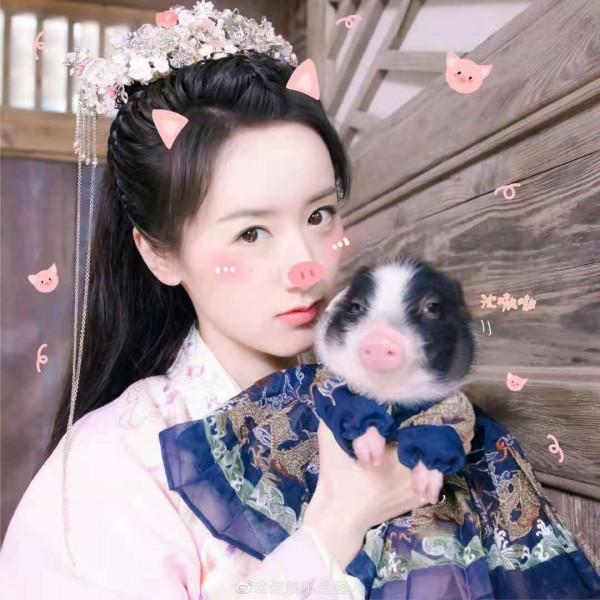 二月新劇，雷佳音袁泉新劇誘人，宋佳、袁詠儀&OpenCurlyDoubleQuote;雙女主&rdquo;引人好奇