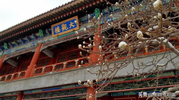 難覽觀園全畫景 雪覆臘梅一隅香&mdash;&mdash;踏雪尋遊北京大觀園