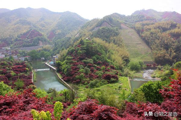寧波的四明山心,紅楓欣賞首選地,山環水繞每年紅兩次 寧波的四明山心,紅楓欣賞首選地,山環水繞每年紅兩次