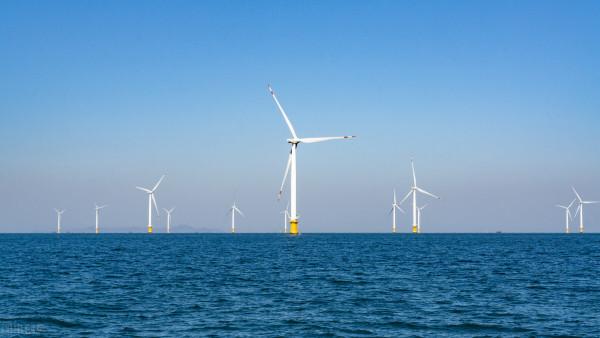 主力資金近一週搶籌名單出爐，兩大行業受關注，元宇宙概念股在列