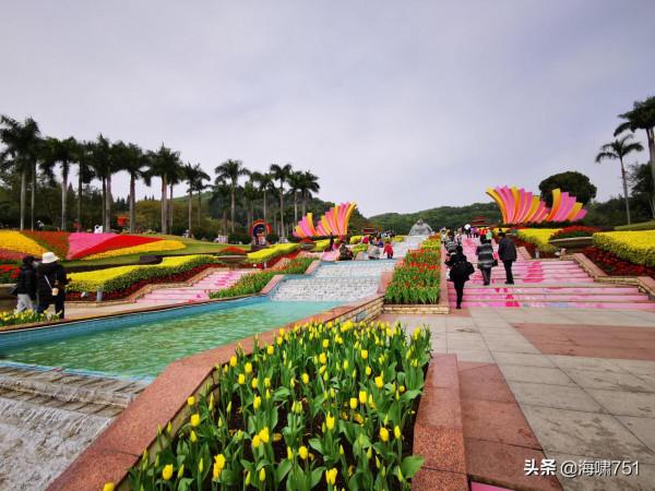 雲臺花園花的海洋