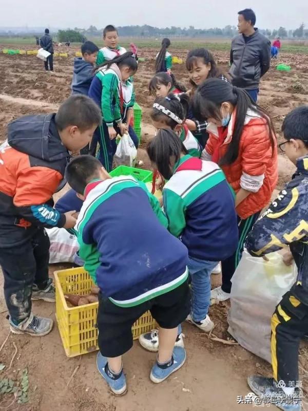 敬題鄠邑詩人書法家石侃之先生微信興平學生挖紅薯楹聯 文/李景寧