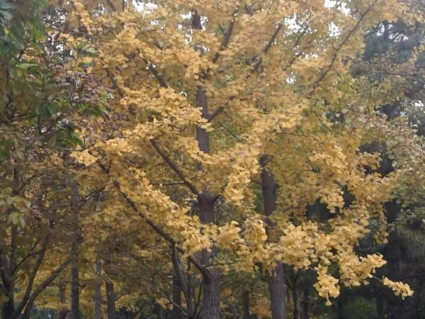 兩 岸 (詩歌外九首)北京 張新貴 兩 岸 (詩歌外九首)北京 張新貴