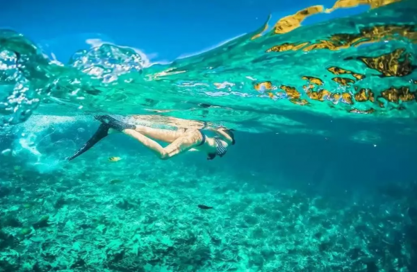仙本那,與鯨鯊共舞,住水上木屋 仙本那,與鯨鯊共舞,住水上木屋