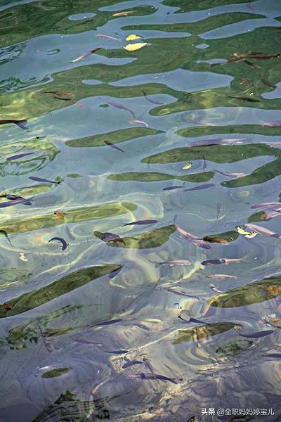 分享——令人迷幻的九寨溝