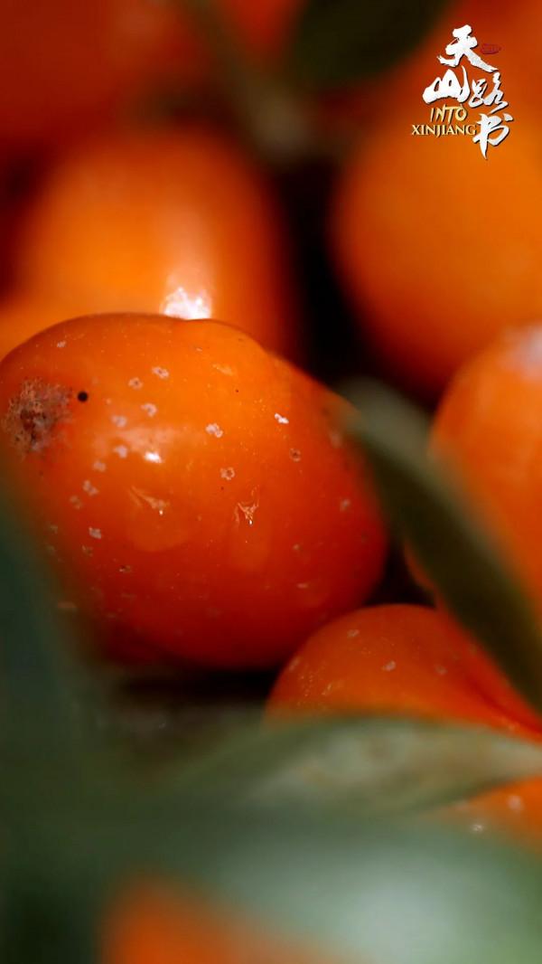 胡楊金、豐收紅、秋實橙……秋日新疆的這些色號,你pick了嗎? 胡楊金、豐收紅、秋實橙……秋日新疆的這些色號,你pick了嗎?